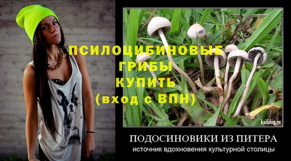 мдма Заводоуковск